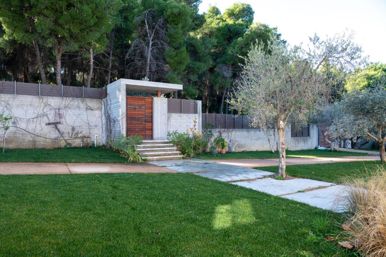 Villa Kalamos / Sea View And Pool Nearby Athens المظهر الخارجي الصورة