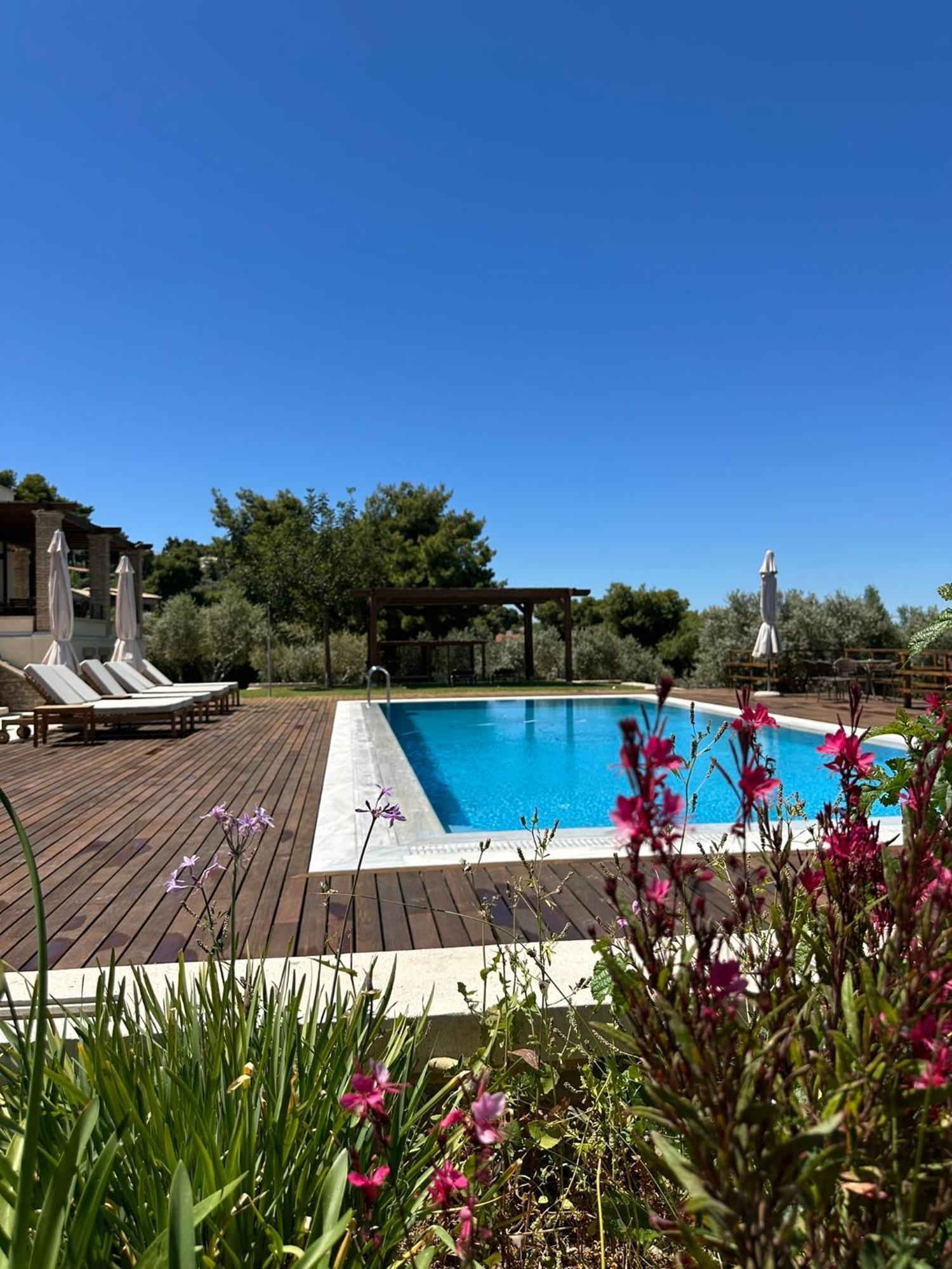 Villa Kalamos / Sea View And Pool Nearby Athens المظهر الخارجي الصورة